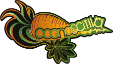 Cognoscitiva